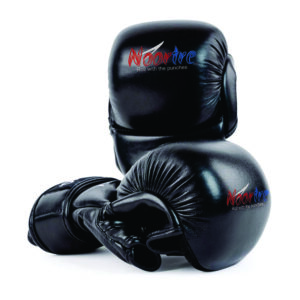 Image of Noortre Boxing Gloves made with premium Thai leather in a classic black desig.